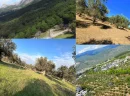 Edremit Satılık Zeytinlik ile Zeytinyağı Üretimine Başlayın