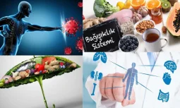 Bağışıklık Sisteminin Temel Görevi