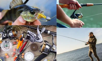 Balık Tutmanın Keyfi: Doğayla Buluşmanın En Huzurlu Hali