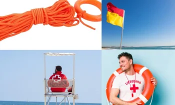 Can Kurtaranın Önemi ve Görevleri