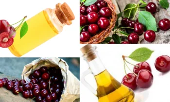 Cherry Oil (Kiraz Çekirdeği Yağı) Nedir?