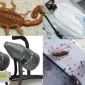 Karınca İlacı Satın Alabileceğiniz Yerler