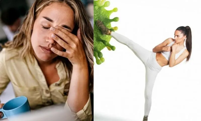 immune-system-2-piece-1